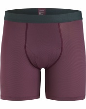 Трусы Phase SL Boxer муж. L07419300